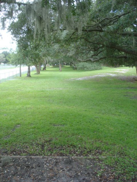 Lakeview Park