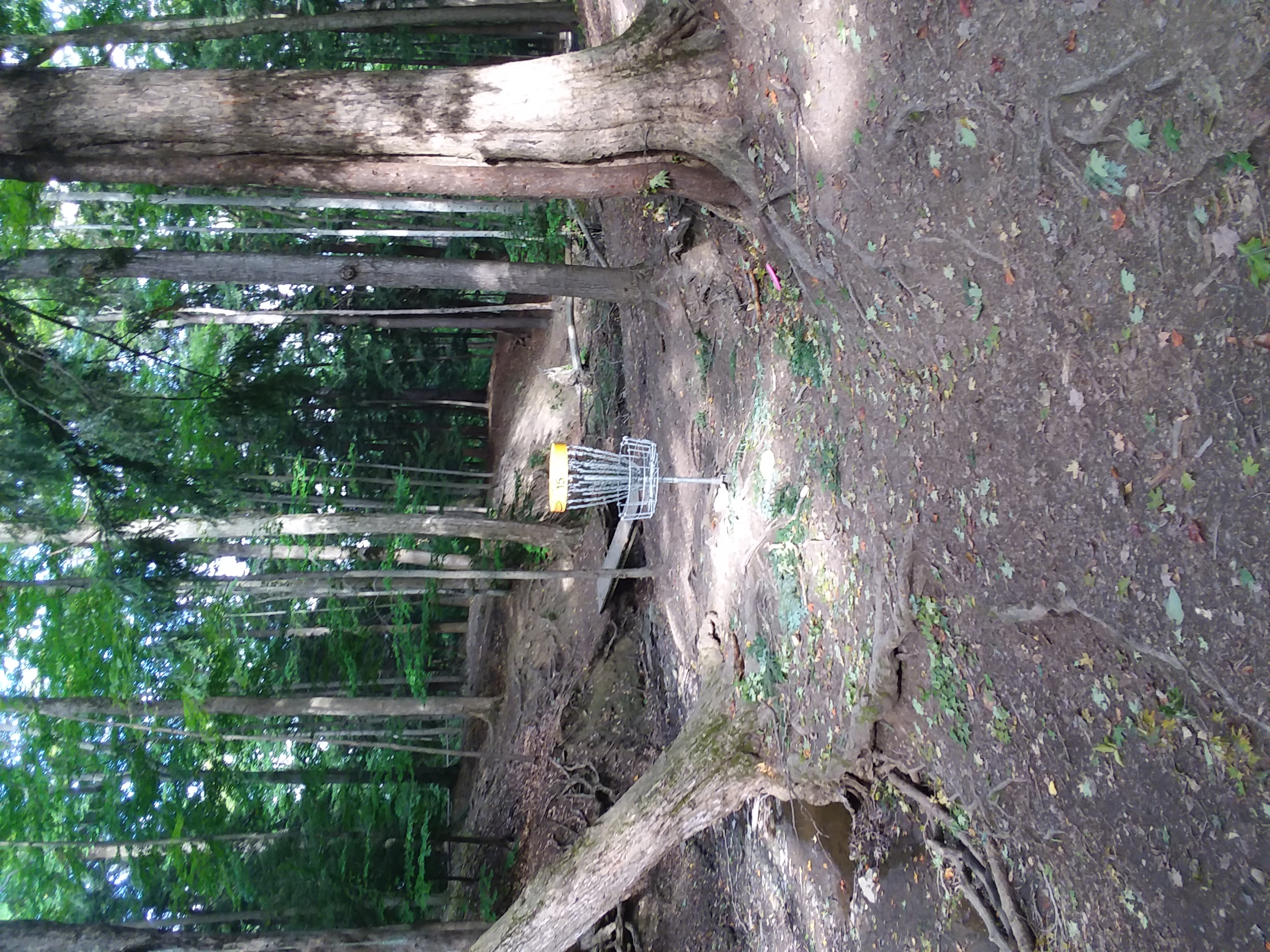 Chestnut ridge dgc