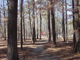 Arnette Park