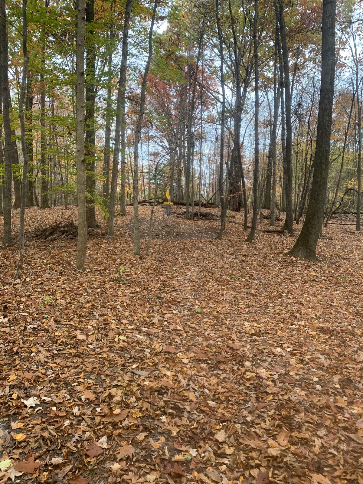 MetroParks Farm DGC