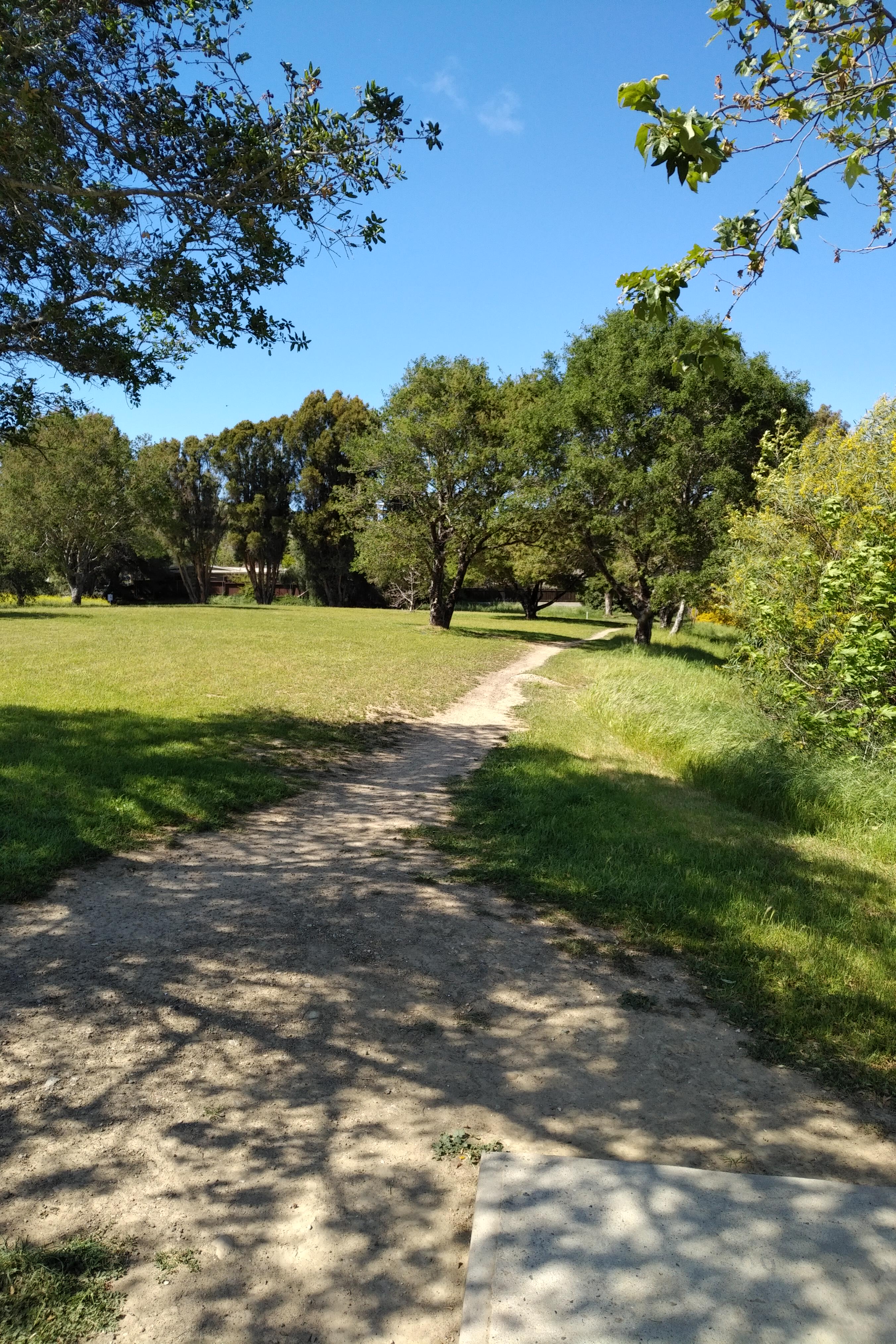 Sinsheimer Park DGC