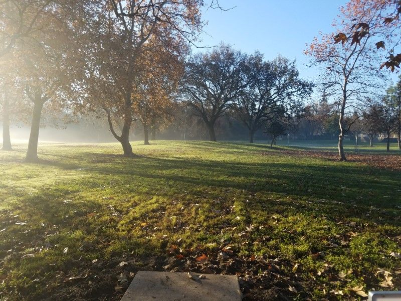 Reichmuth Park DGC