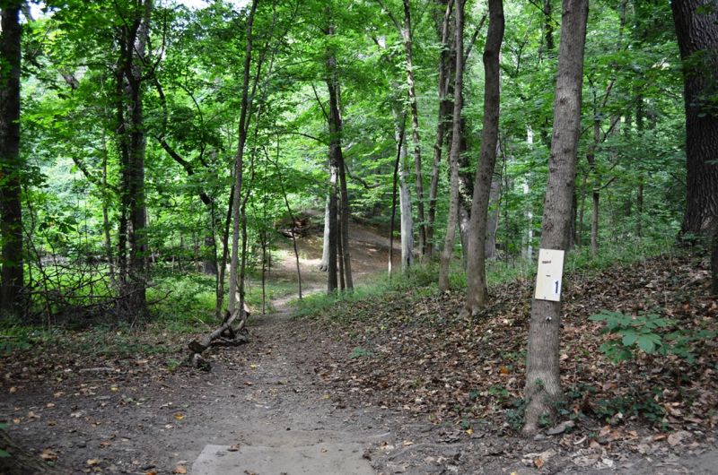 Druid Hill Park-Forest Drive