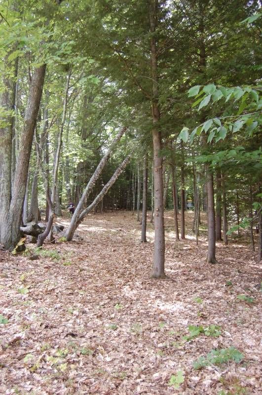 New England College DGC