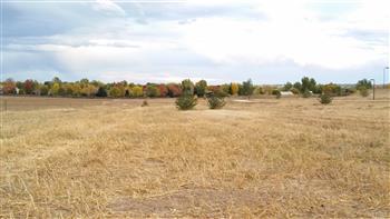 Mehaffey Park image