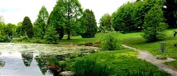 Little Mountain - Queen Elizabeth Park image