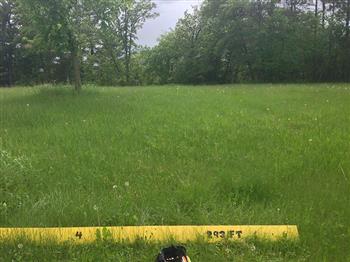 Apple River Family Campground image