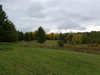Kiekhaefer Park image