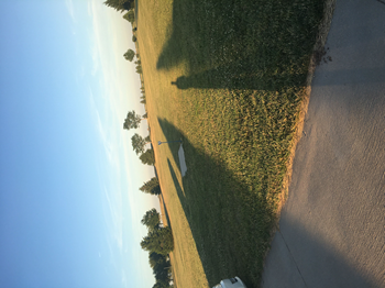 Mincks Park DGC image