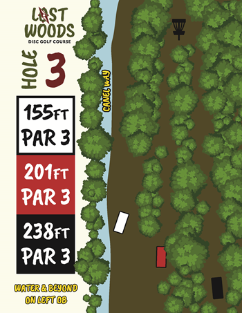 Lost Woods image
