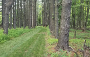 The Preserve Disc Golf Park at AGA Farms image