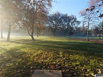 Reichmuth Park DGC image