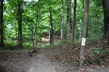 Druid Hill Park-Forest Drive image